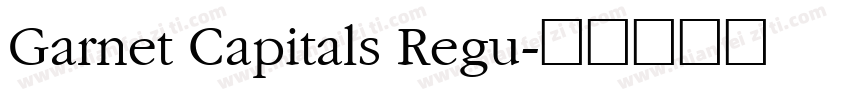 Garnet Capitals Regu字体转换